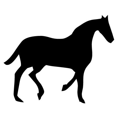 Dressage Horse Iron on Transfer
